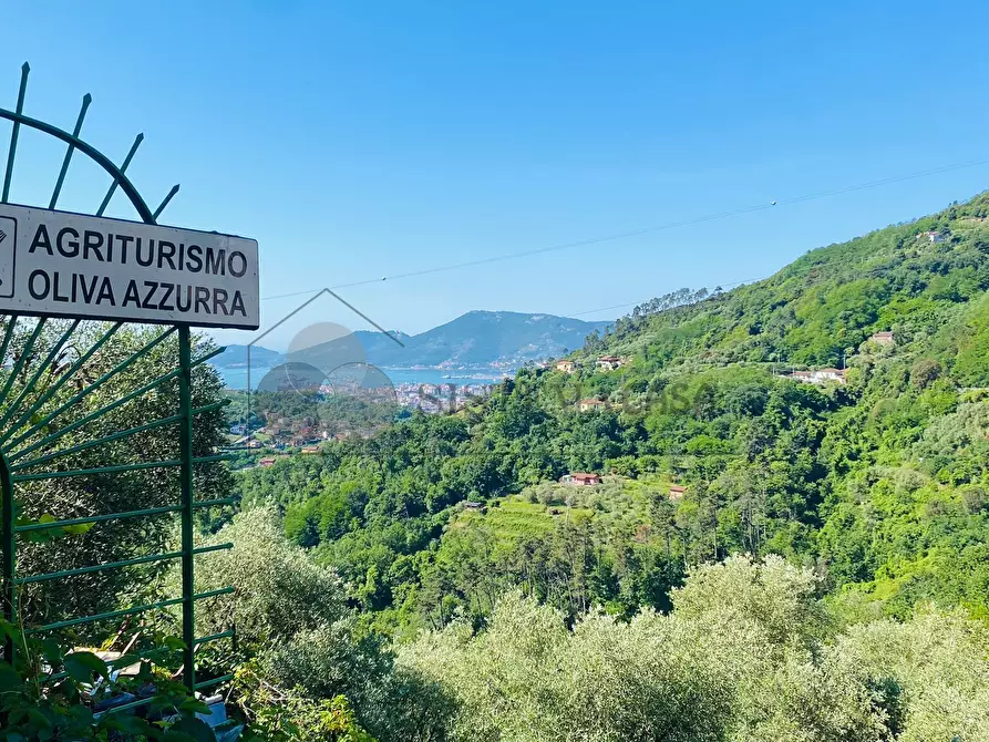 Immagine 49 di Villa in vendita  in Via Fratelli Aristide e Alduino Castellini 8 a Vezzano Ligure