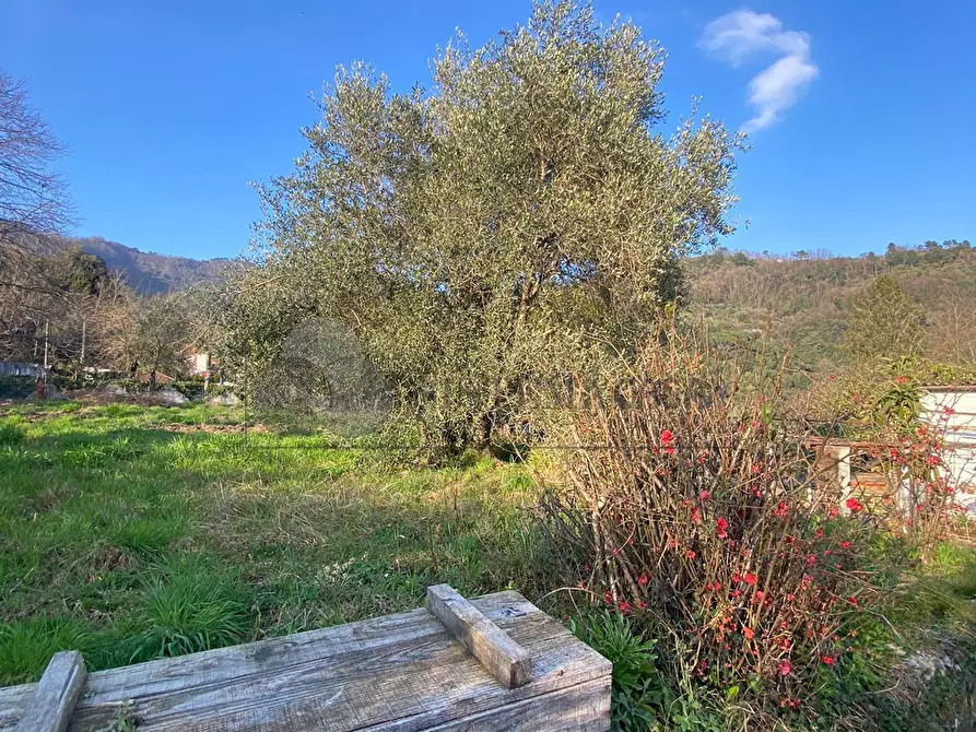 Immagine 18 di Porzione di casa in vendita  in Via San Rocco 9 a Follo