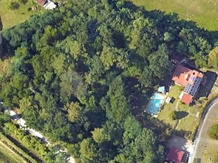 Immagine 5 di Villa in vendita  a Castelnuovo Magra