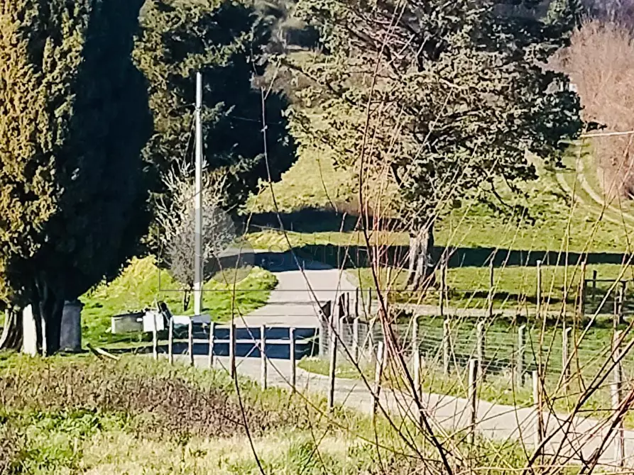 Immagine 20 di Terratetto in vendita  in Via Carlo del Prete 17 a Fivizzano