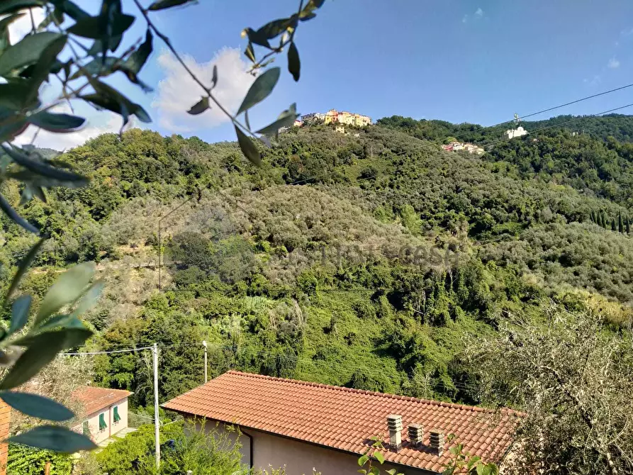 casa indipendente in vendita a Luni in zona Casano