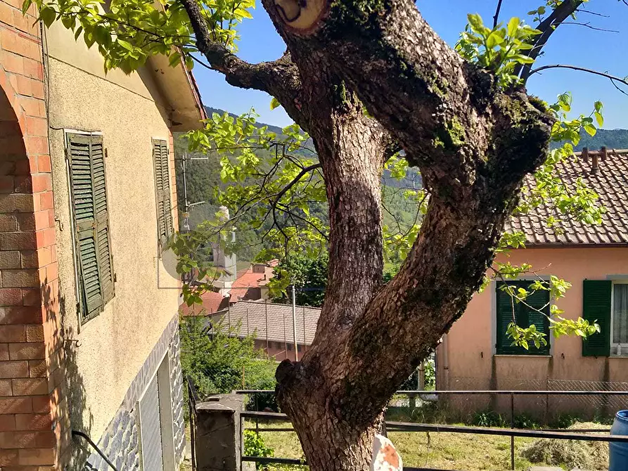 Immagine 17 di Casa indipendente in vendita  in Via Brigate Garibaldi 7 a Zignago