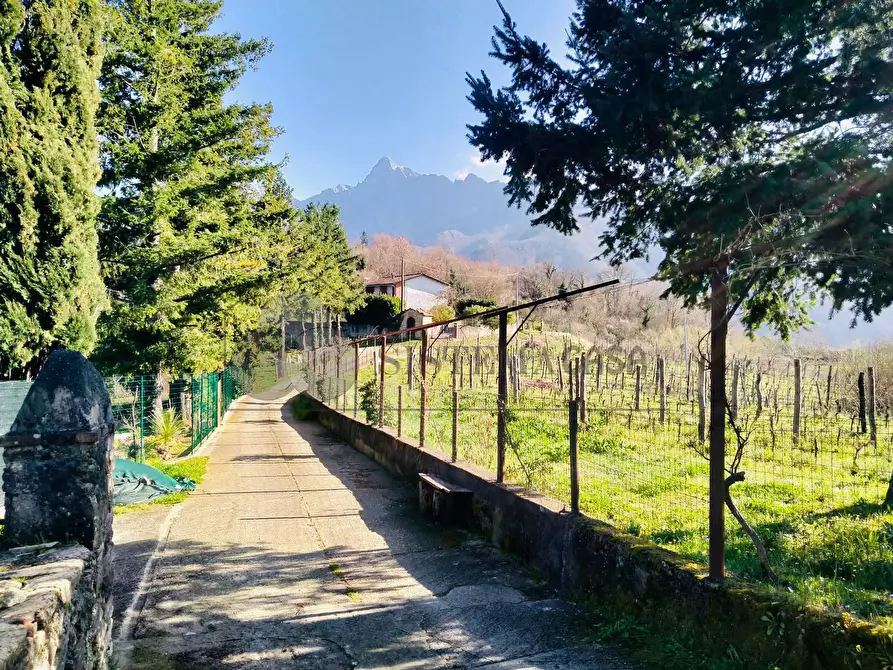 Immagine 3 di Terratetto in vendita  in Via Carlo del Prete 17 a Fivizzano