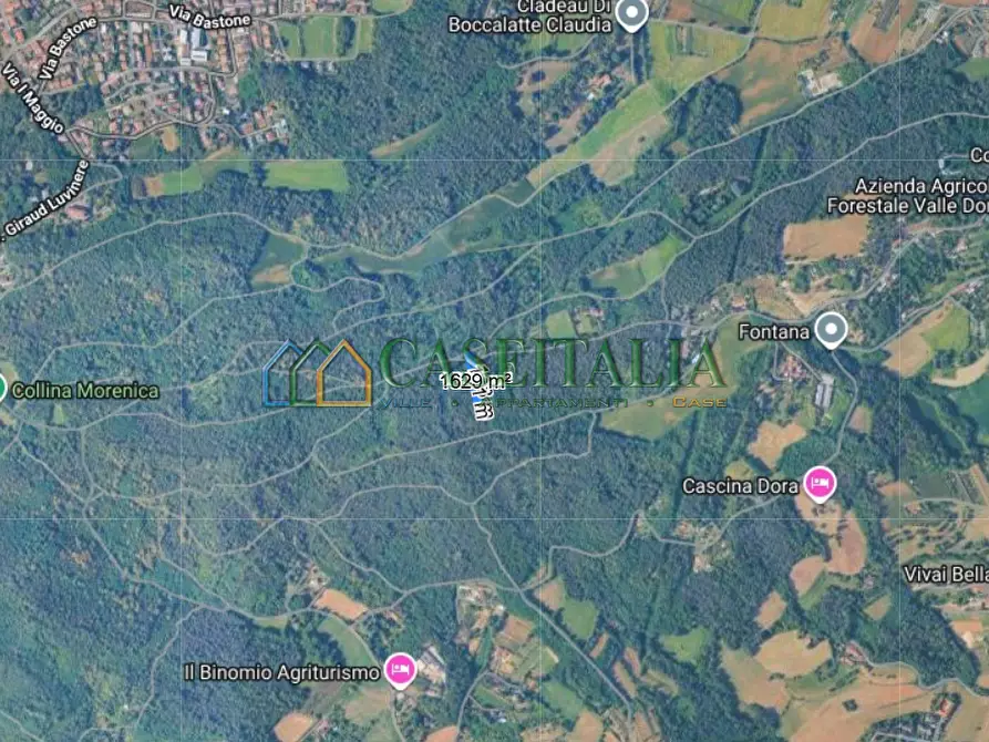 Immagine 3 di Terreno agricolo in vendita  in Strada Pietra Chiavoira a Rivoli