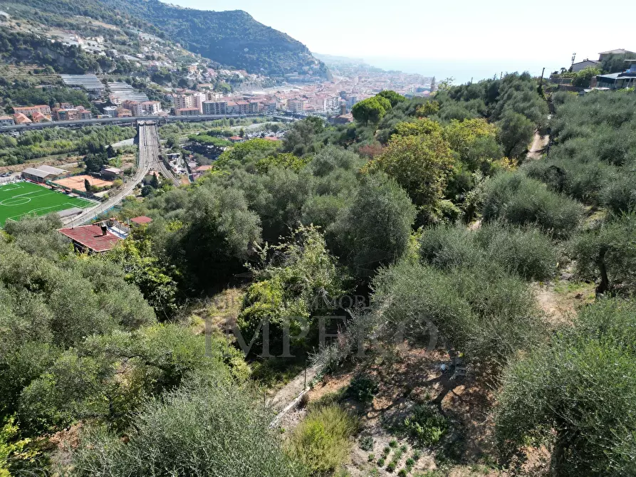 Immagine 58 di Terreno agricolo in vendita  in Via Monsignore Daffra 40 a Ventimiglia
