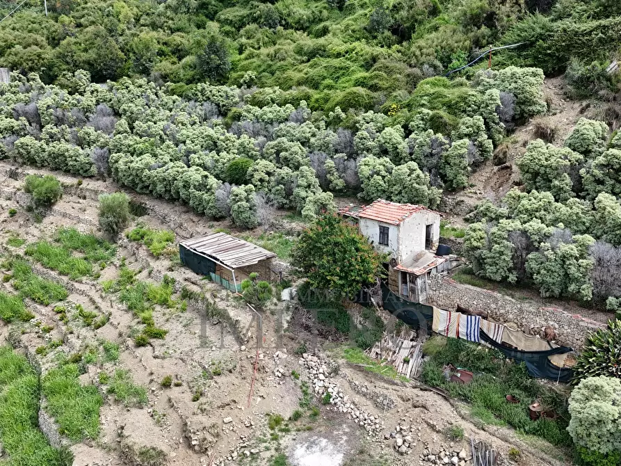 Immagine 37 di Terreno agricolo in vendita  in Via Anacleto Hughes 22/A a Ventimiglia