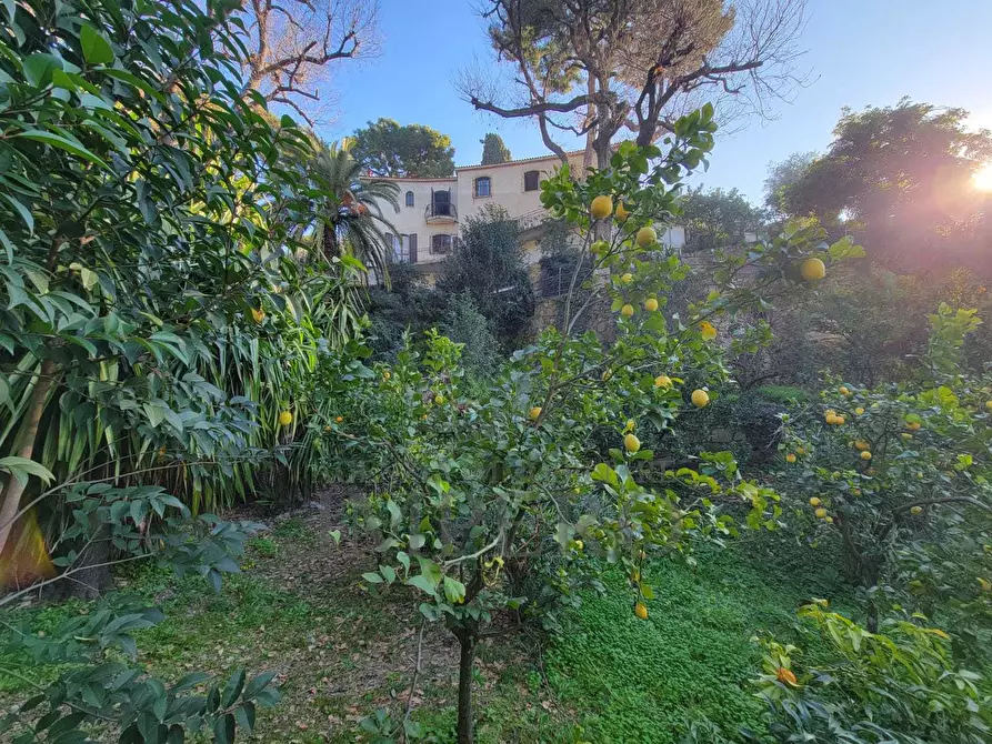 Immagine 24 di Villa in vendita  in Via Vincenzo Gioberti 11 a Bordighera