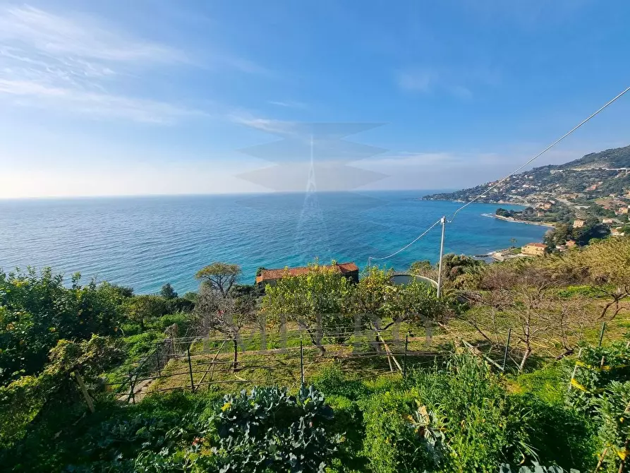 Immagine 6 di Porzione di casa in vendita  in Corso A. Toscanini 15 a Ventimiglia