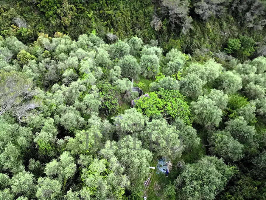 Immagine 1 di Terreno agricolo in vendita  in Corso Cuneo 42 a Ventimiglia