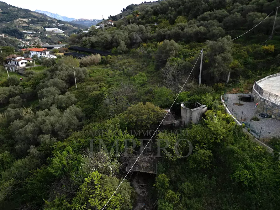 Immagine 3 di Terreno agricolo in vendita  in Strada San Sinforiano a San Biagio Della Cima