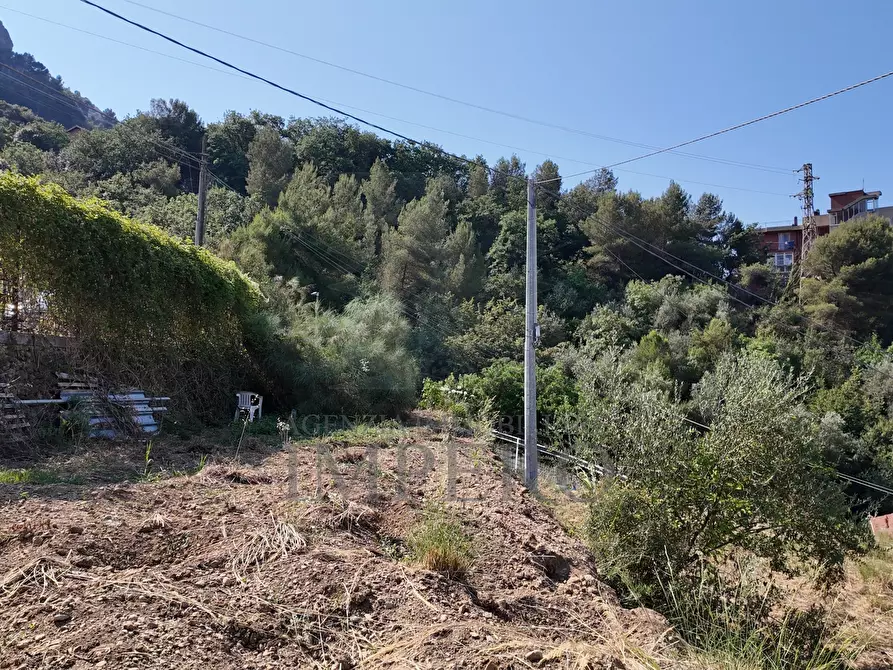 Immagine 16 di Terreno agricolo in vendita  in Corso Limone Piemonte a Ventimiglia
