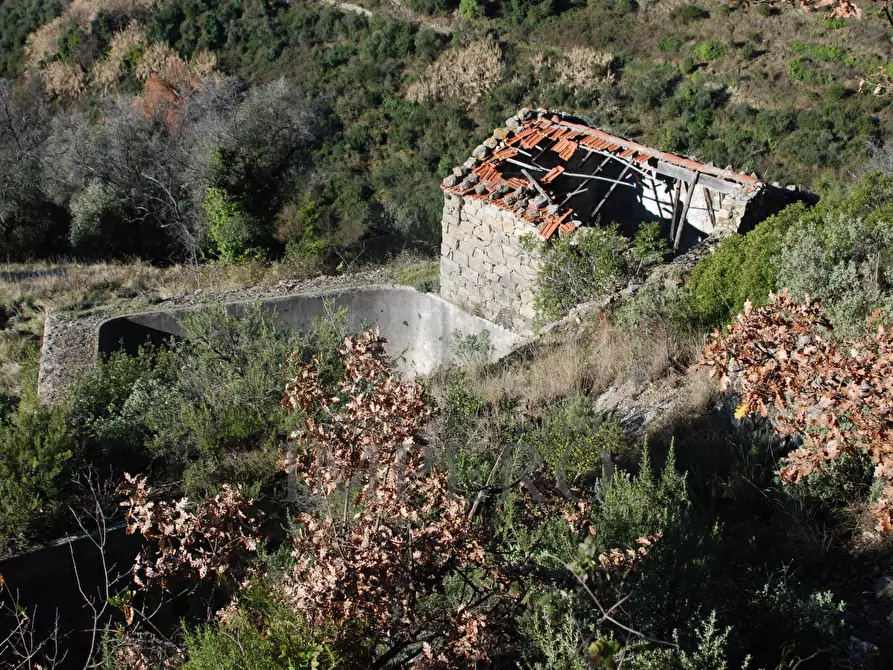 Immagine 7 di Terreno agricolo in vendita  in Via Case Gina 13 a Ventimiglia