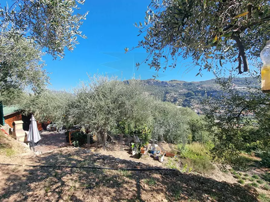 Immagine 38 di Terreno agricolo in vendita  in Via Monsignore Daffra 40 a Ventimiglia