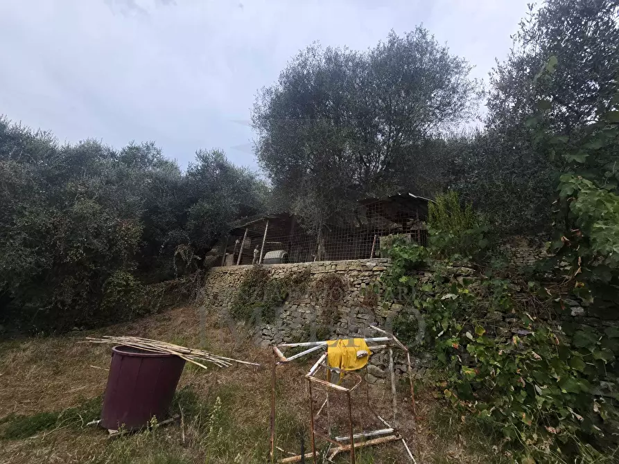 Immagine 3 di Rustico / casale in vendita  in San Gregorio a Dolceacqua
