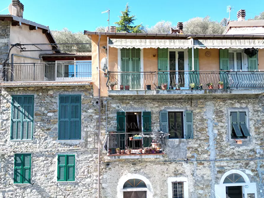 Immagine 2 di Bilocale in vendita  in Via Ginestrea 27 a Olivetta San Michele