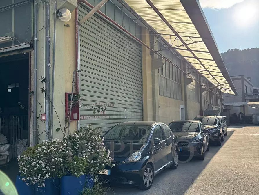 Immagine 2 di Attività artigianale in vendita  in Via Braie a Camporosso