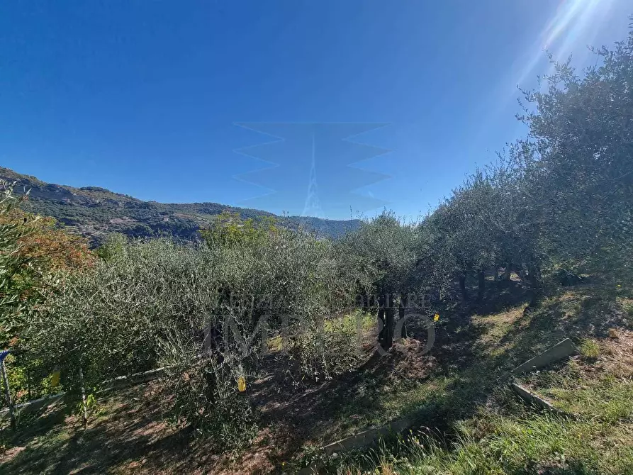 Immagine 33 di Terreno agricolo in vendita  in Via Monsignore Daffra 40 a Ventimiglia