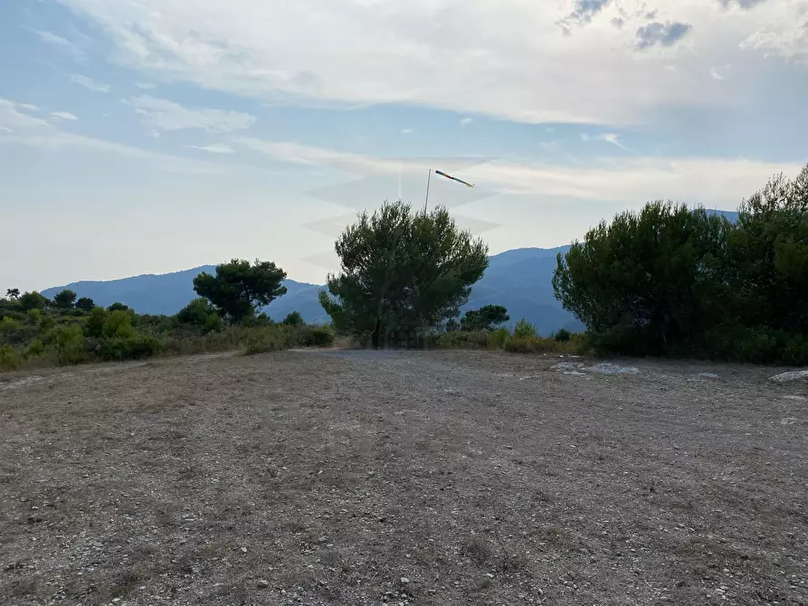 Immagine 4 di Terreno agricolo in vendita  in Via alla Stazione 40 a Ventimiglia