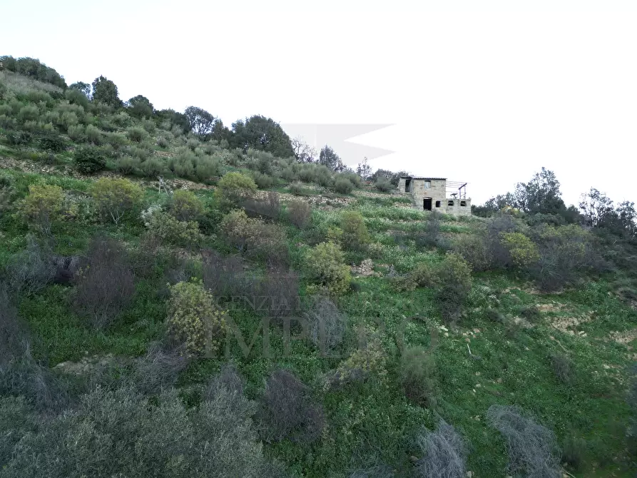 Immagine 4 di Terreno agricolo in vendita  in Via delle Otto Case 94 a Ventimiglia