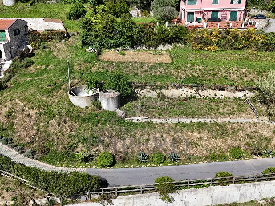 Immagine 5 di Terreno edificabile in vendita  in Via L. Alborno 1 a Ventimiglia