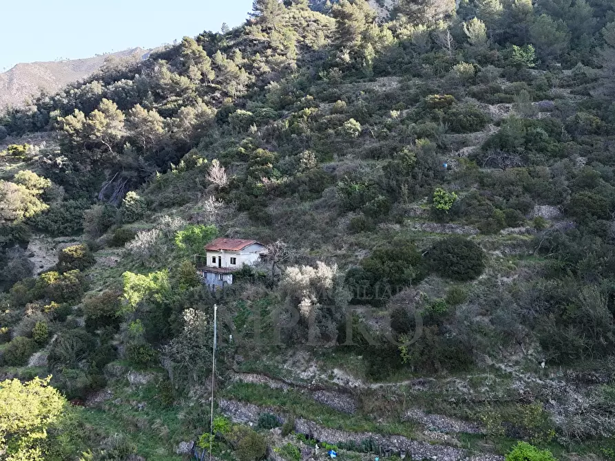 Immagine 13 di Casa indipendente in vendita  in Via Domenico Tempesta 30A a Ventimiglia