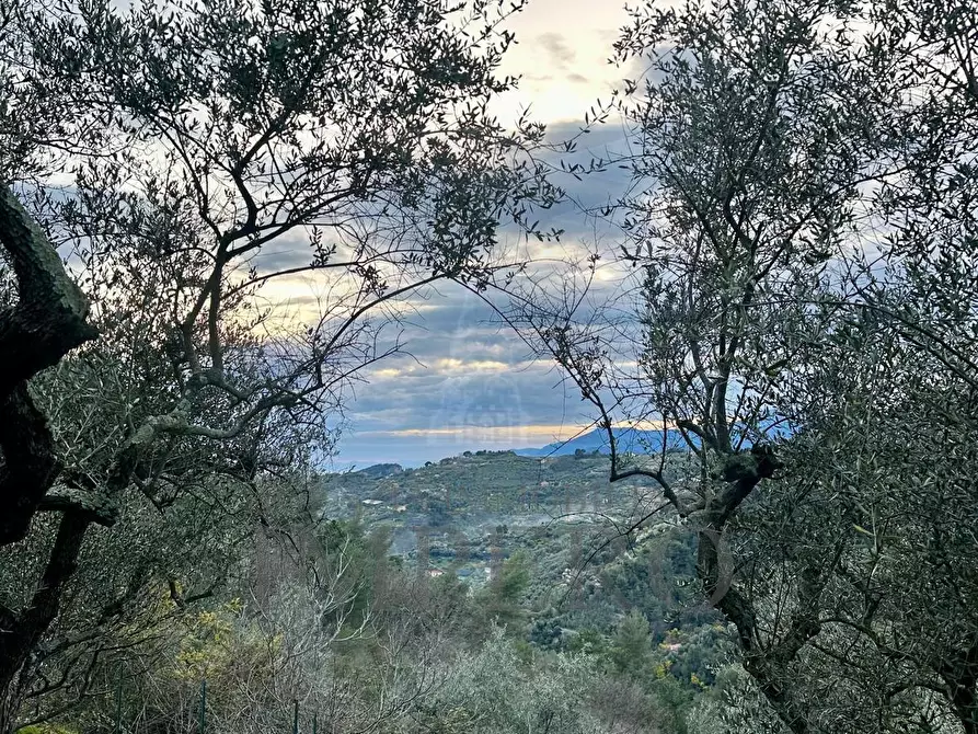 Immagine 1 di Rustico / casale in vendita  in Via Giacomo Matteotti 18 a Seborga