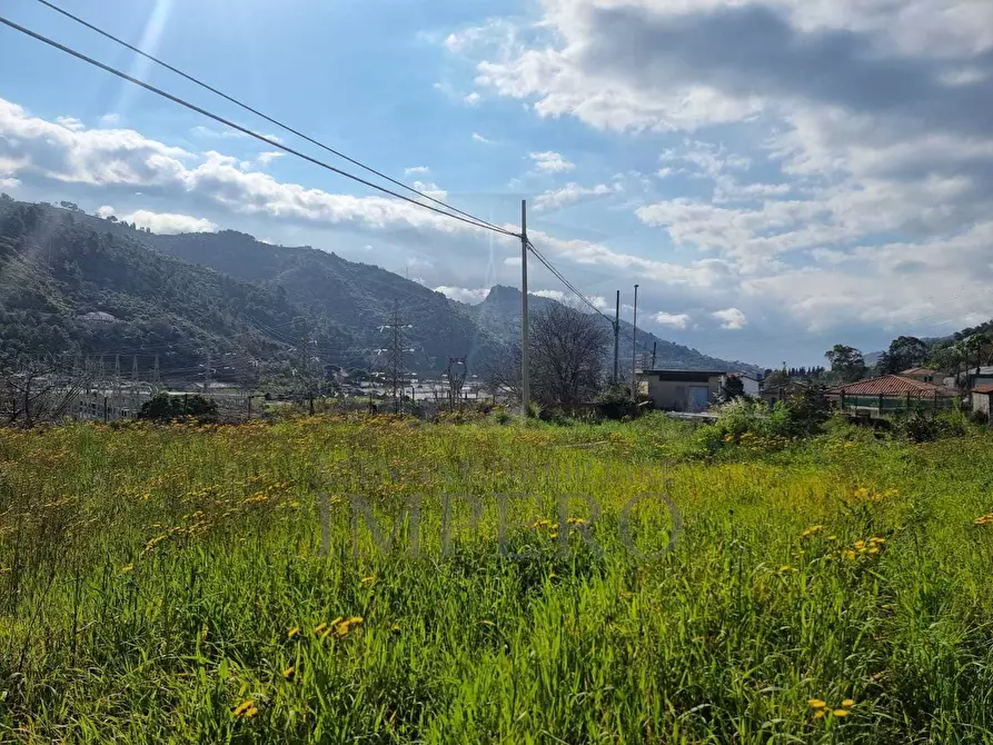 Immagine 9 di Terreno agricolo in vendita  in via udine 1 a Camporosso