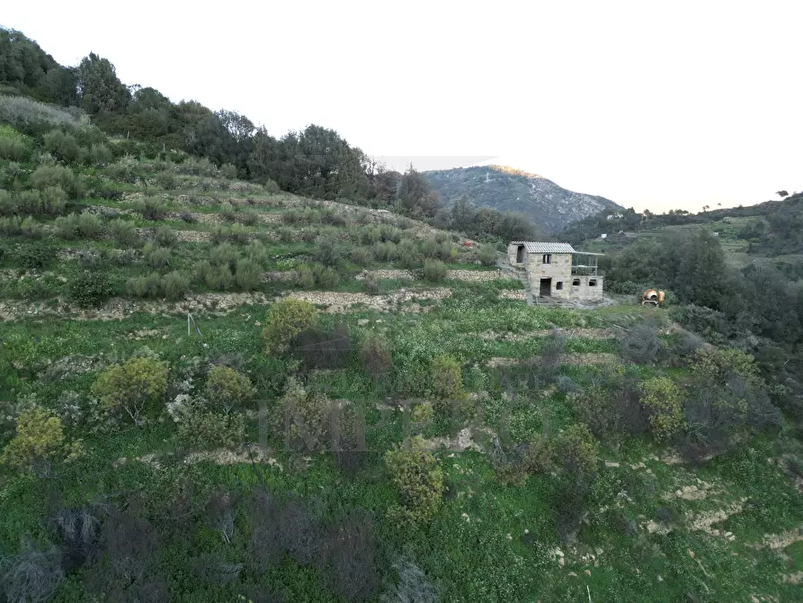 Immagine 5 di Terreno agricolo in vendita  in Via delle Otto Case 94 a Ventimiglia