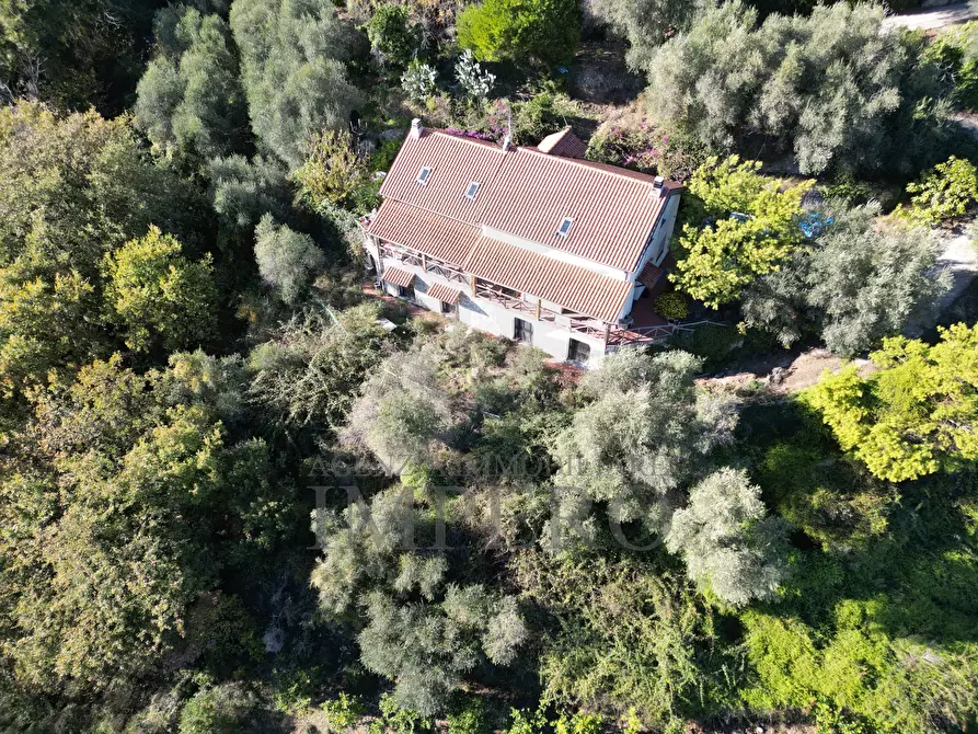 Immagine 1 di Villa in vendita  in Via Fontana 1 a Ventimiglia