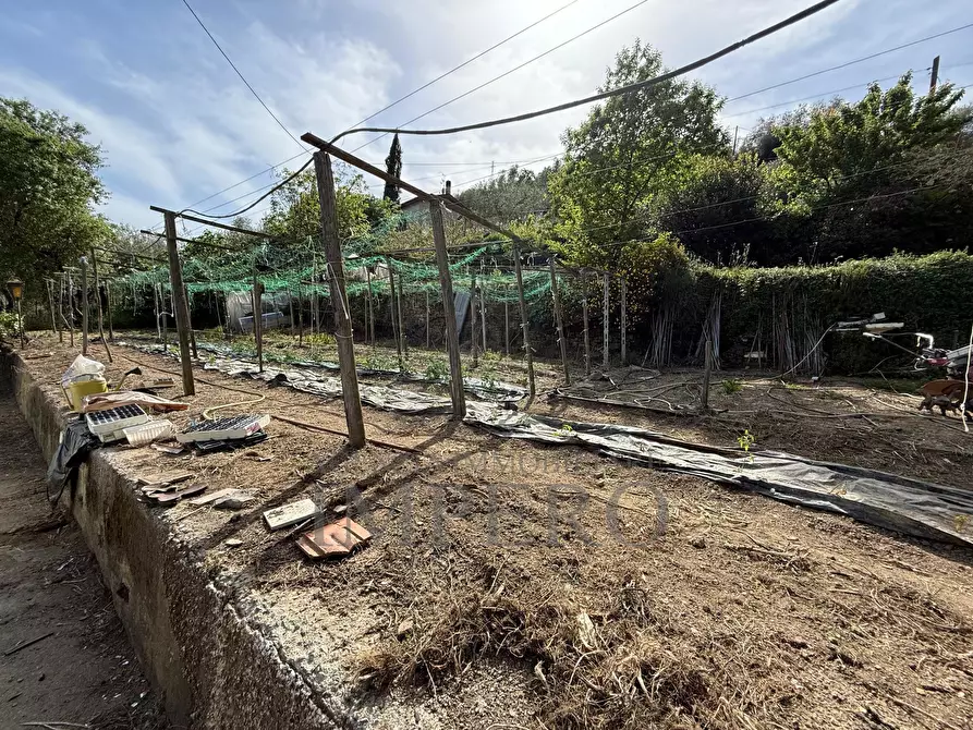 Immagine 40 di Casa indipendente in vendita  in localitò pian del soglio a Apricale