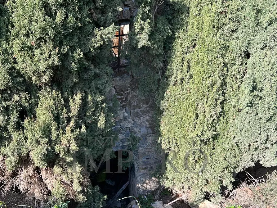 Immagine 24 di Villa in vendita  in via silvio peglio snc a Bordighera