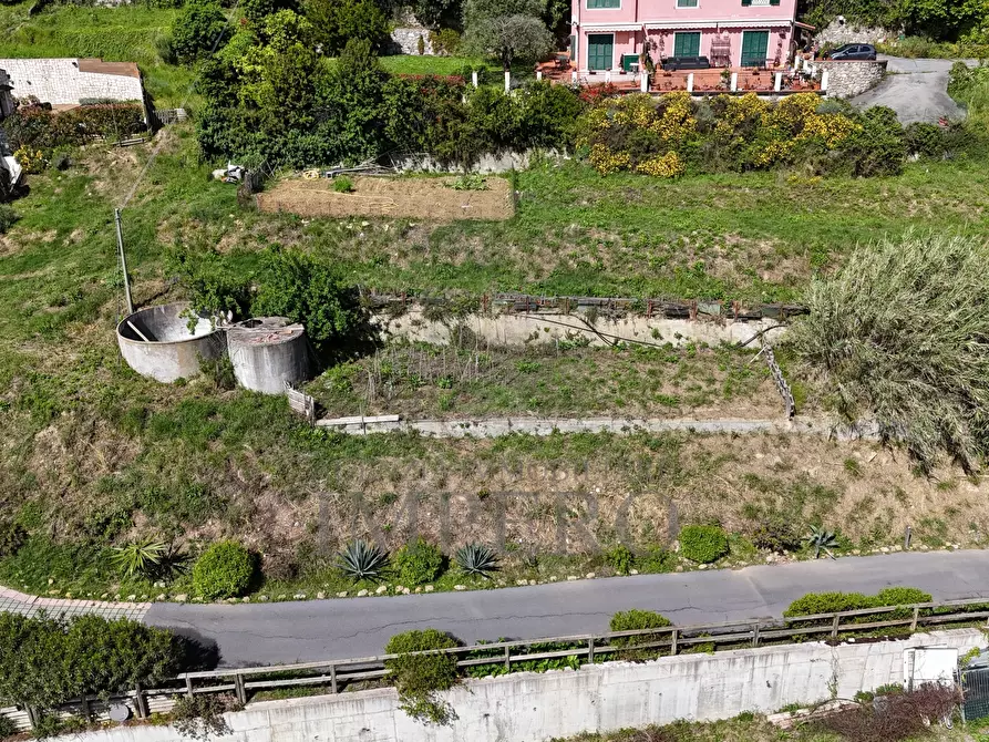 Immagine 7 di Terreno edificabile in vendita  in Via L. Alborno 1 a Ventimiglia