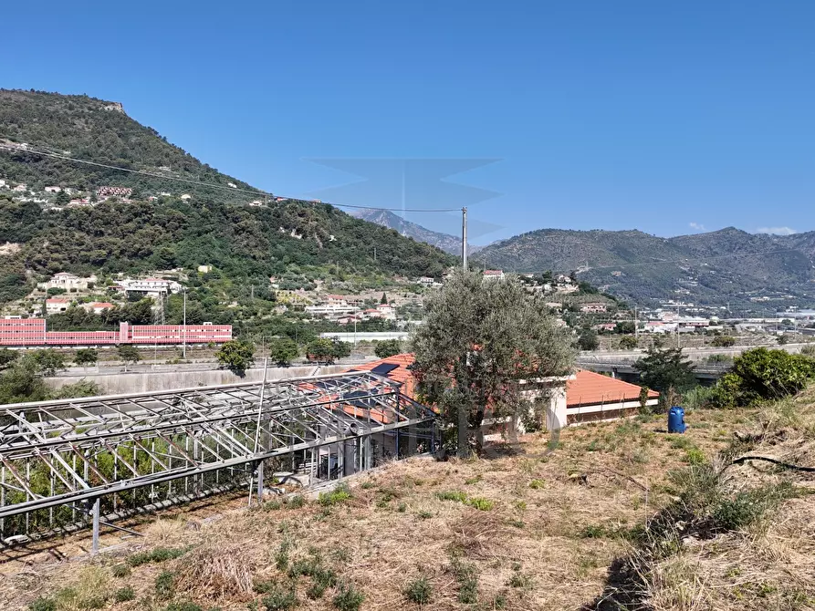 Immagine 10 di Terreno agricolo in vendita  in Corso Limone Piemonte a Ventimiglia