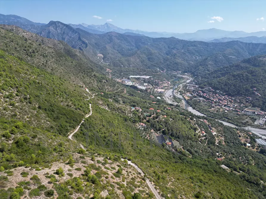 Immagine 26 di Terreno agricolo in vendita  in Via alla Stazione 40 a Ventimiglia