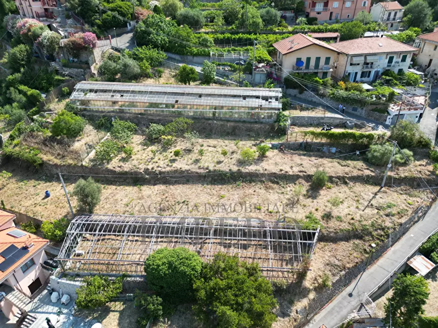 Immagine 3 di Terreno agricolo in vendita  in Corso Limone Piemonte a Ventimiglia