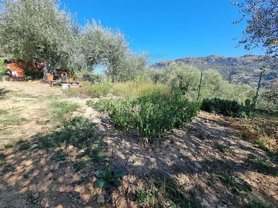 Immagine 28 di Terreno agricolo in vendita  in Via Monsignore Daffra 40 a Ventimiglia