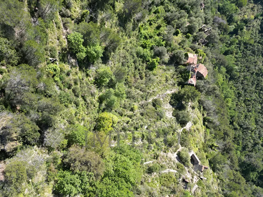 Immagine 51 di Terreno agricolo in vendita  in Via Case Gina 13 a Ventimiglia