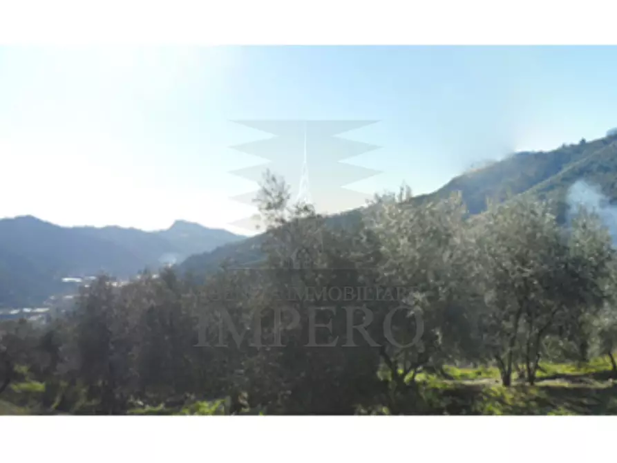 Immagine 4 di Terreno agricolo in vendita  in Via Monsignore Tornatore a Dolceacqua