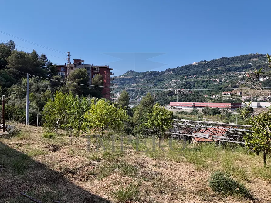Immagine 25 di Terreno agricolo in vendita  in Corso Limone Piemonte a Ventimiglia