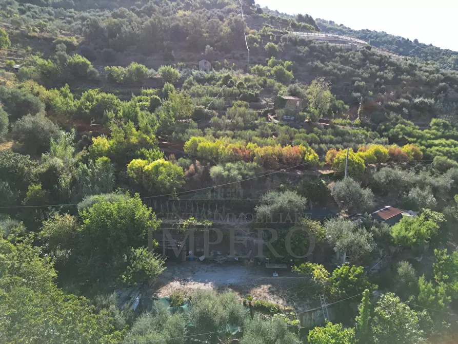 Immagine 8 di Terreno agricolo in vendita  in via provinciale 44 a San Biagio Della Cima