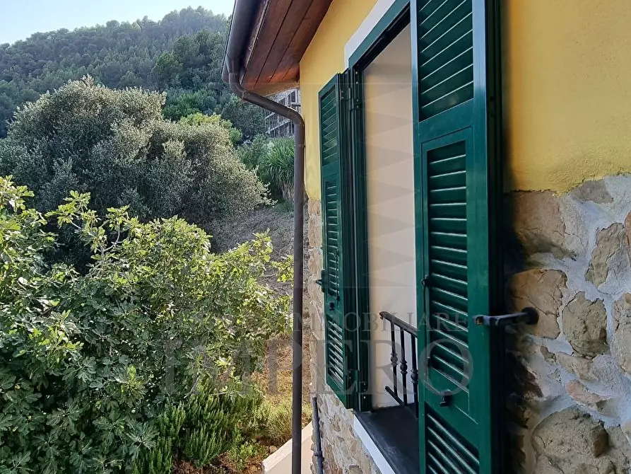 Immagine 50 di Villa in vendita  in Corso Francia 108 a Ventimiglia