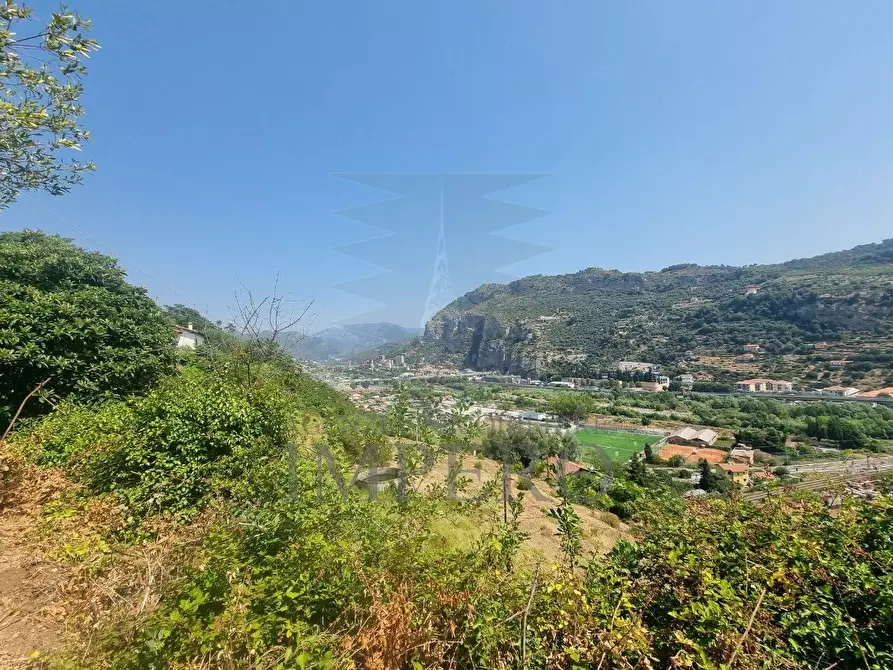 Immagine 11 di Terreno agricolo in vendita  in Via Daffra 20 a Ventimiglia