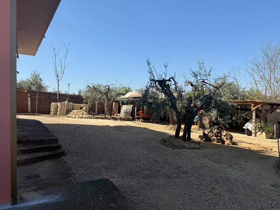 Immagine 61 di Casa indipendente in vendita  in VIALE MAIELLA a Chieti