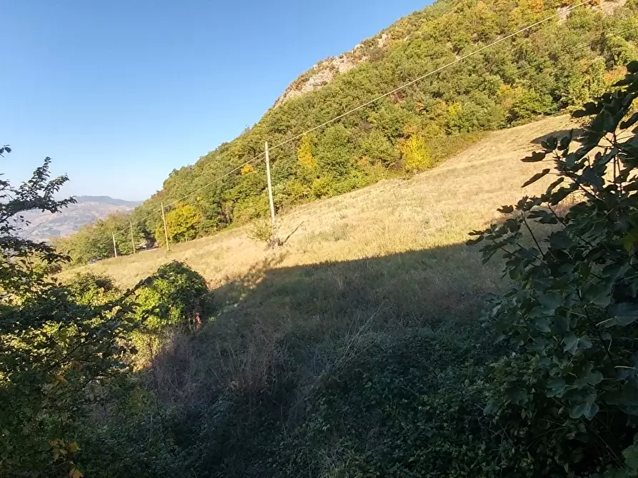 Immagine 19 di Rustico / casale in vendita  in Via Montalbano 3370 a Zocca