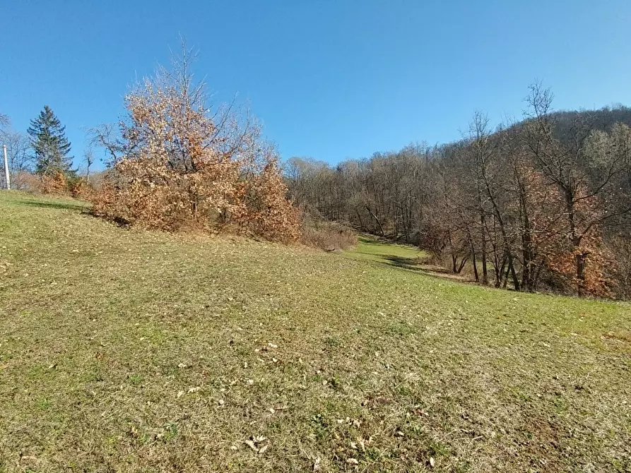 Immagine 12 di Rustico / casale in vendita  a Zocca