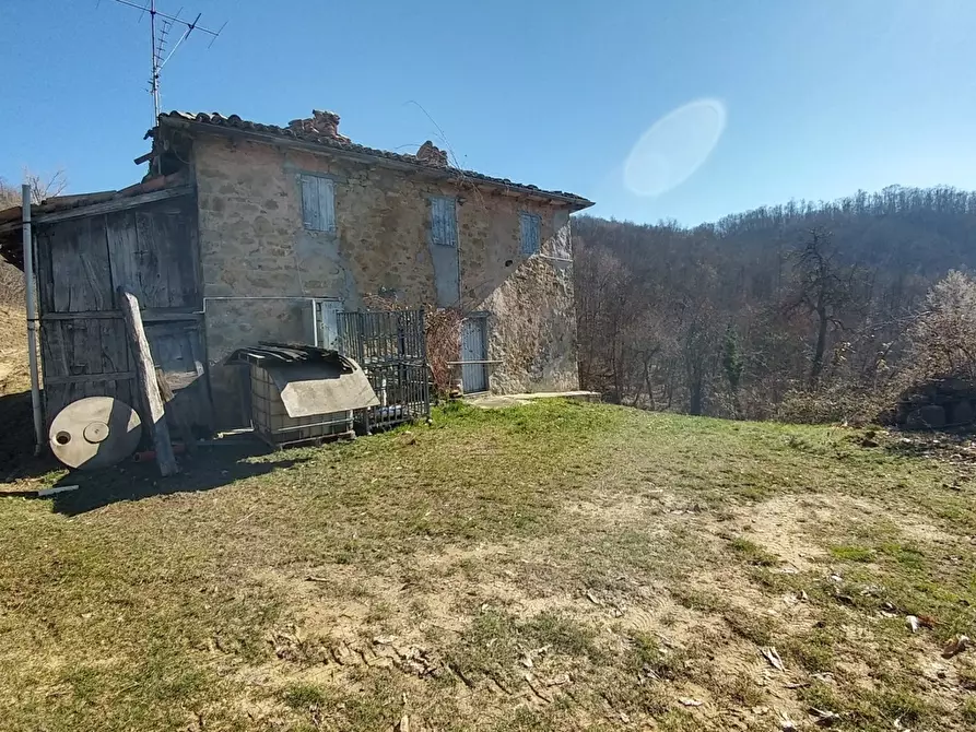 Immagine 5 di Rustico / casale in vendita  a Zocca