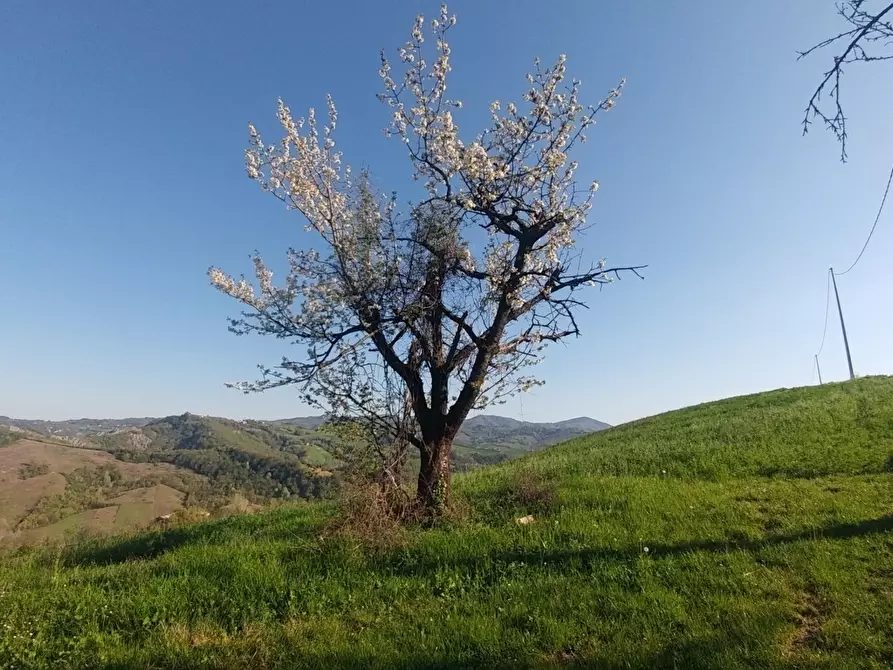 Immagine 4 di Terreno agricolo in vendita  in Via Castello 45 a Monte San Pietro