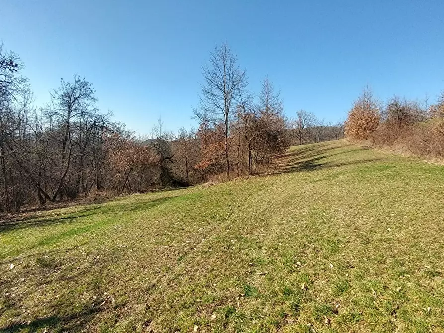 Immagine 15 di Rustico / casale in vendita  a Zocca