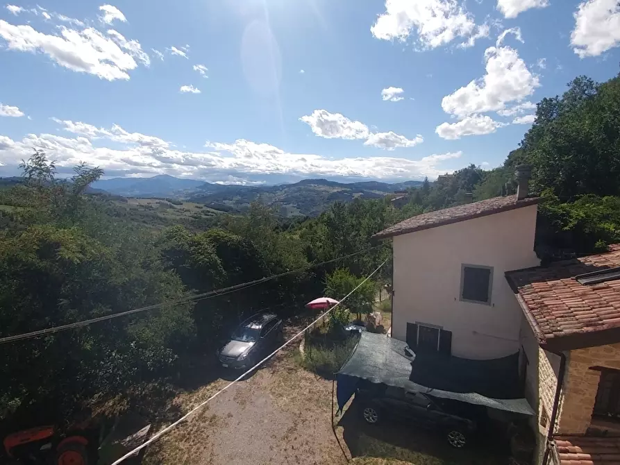 Immagine 27 di Rustico / casale in vendita  in mauro tesi 112 a Zocca