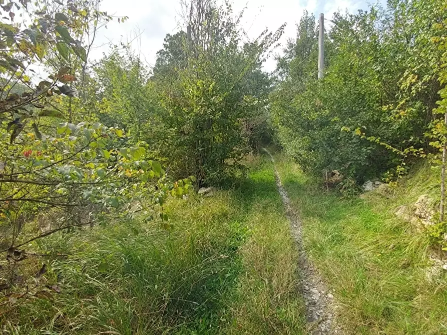 Immagine 23 di Rustico / casale in vendita  in via Selve 3205 a Zocca